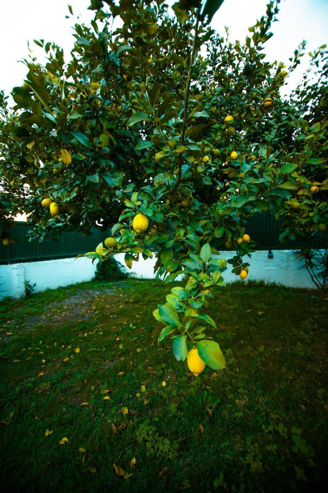 Poolemonhouse Apartment Fernao Ferro Exterior foto
